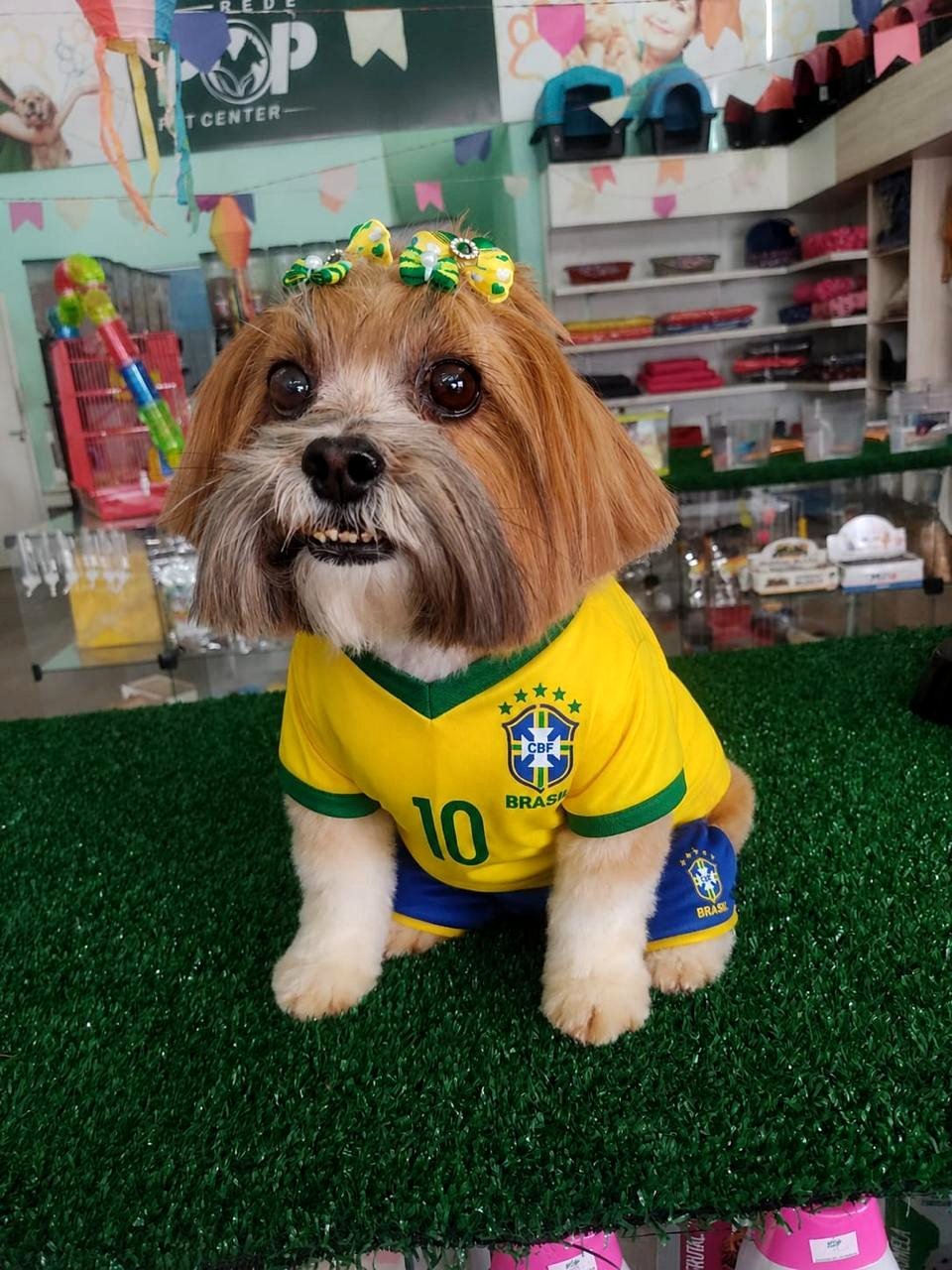 Banho e tosa