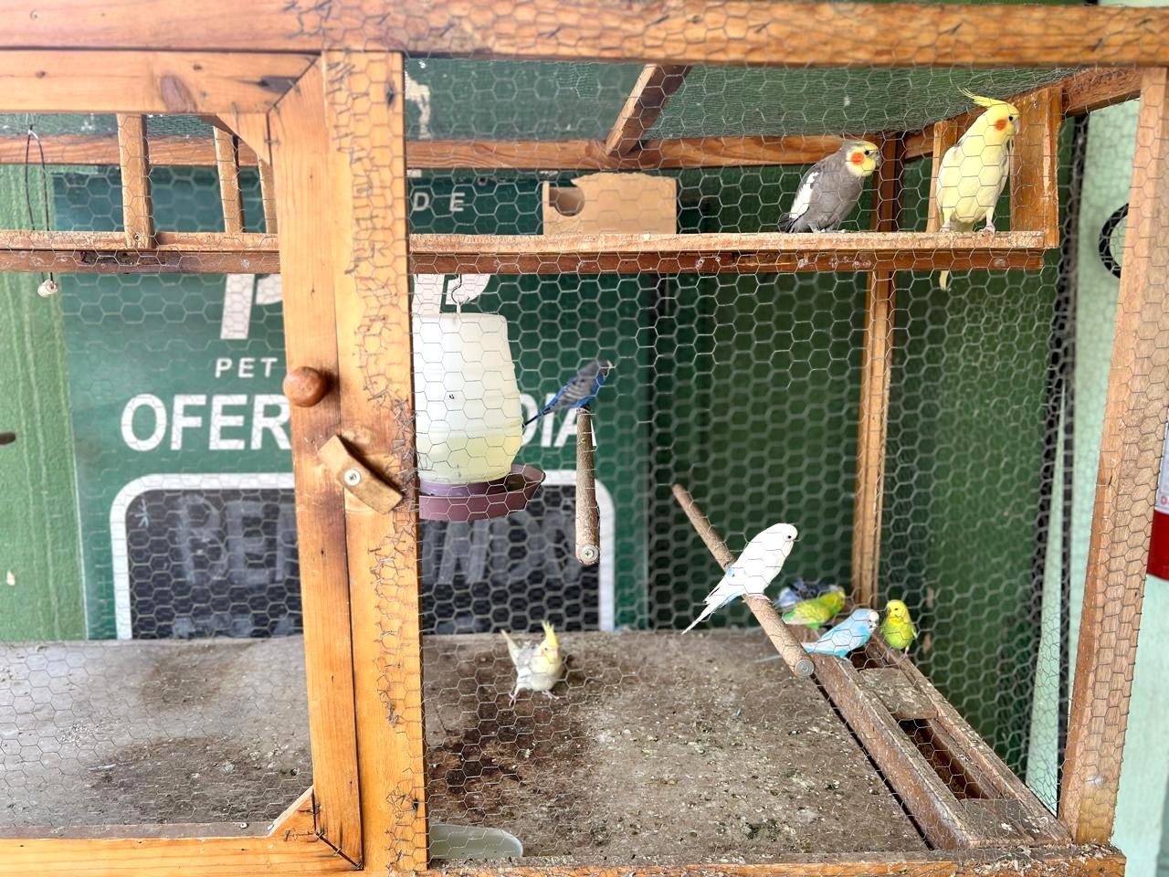 Produtos para aves